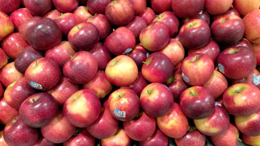 apple.jpg