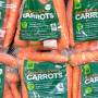 carrot.jpg
